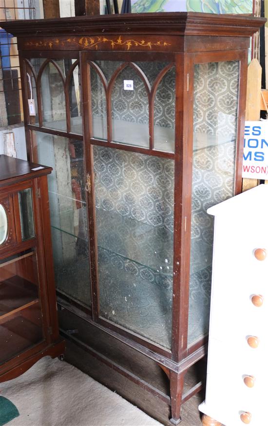 Edwardian mahogany glazed display cabinet, with trailing leaf marquetry frieze